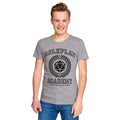 Product image Roleplay Academy T-Shirt grey