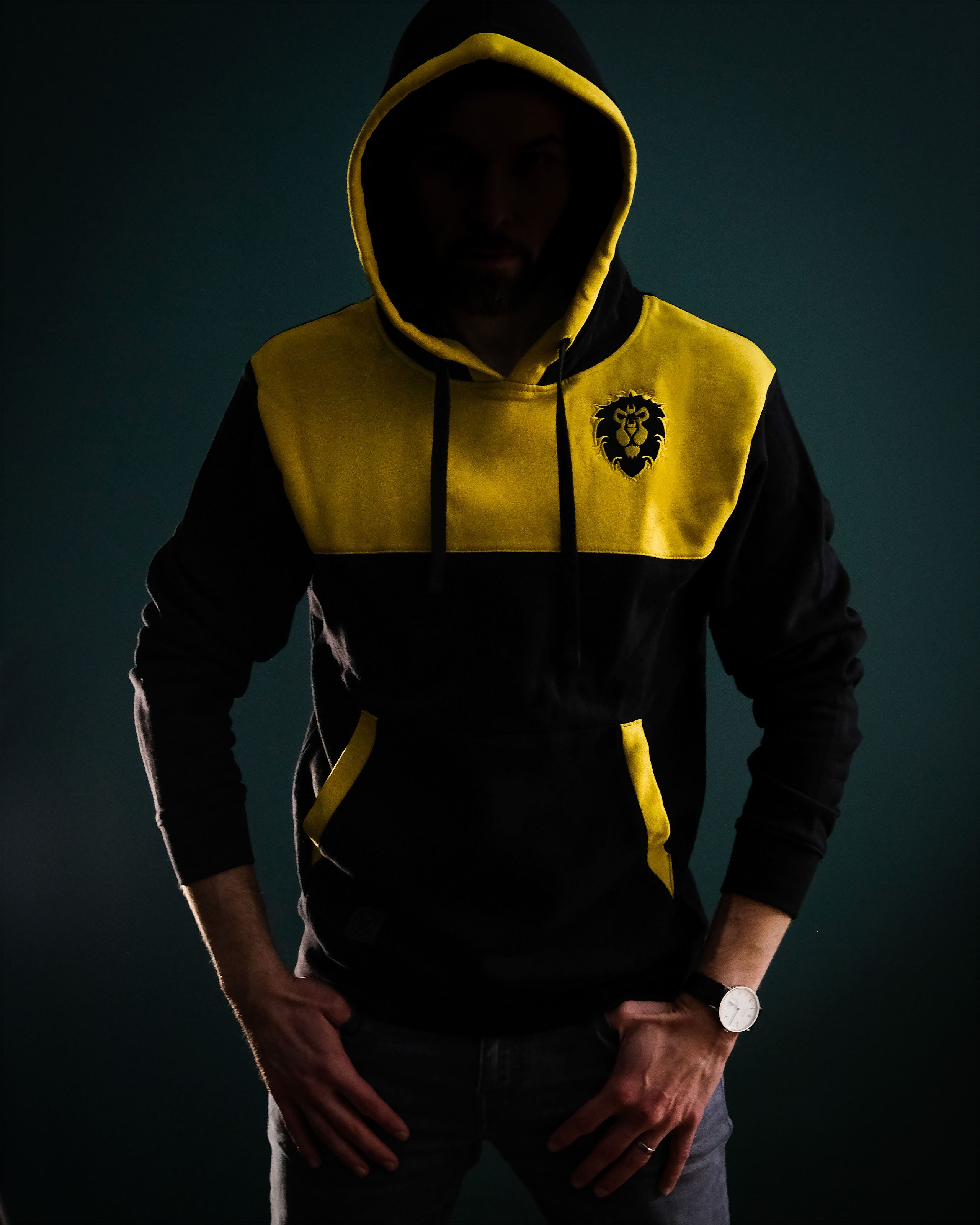 Product image World of Warcraft - Alliance to the End Hoodie