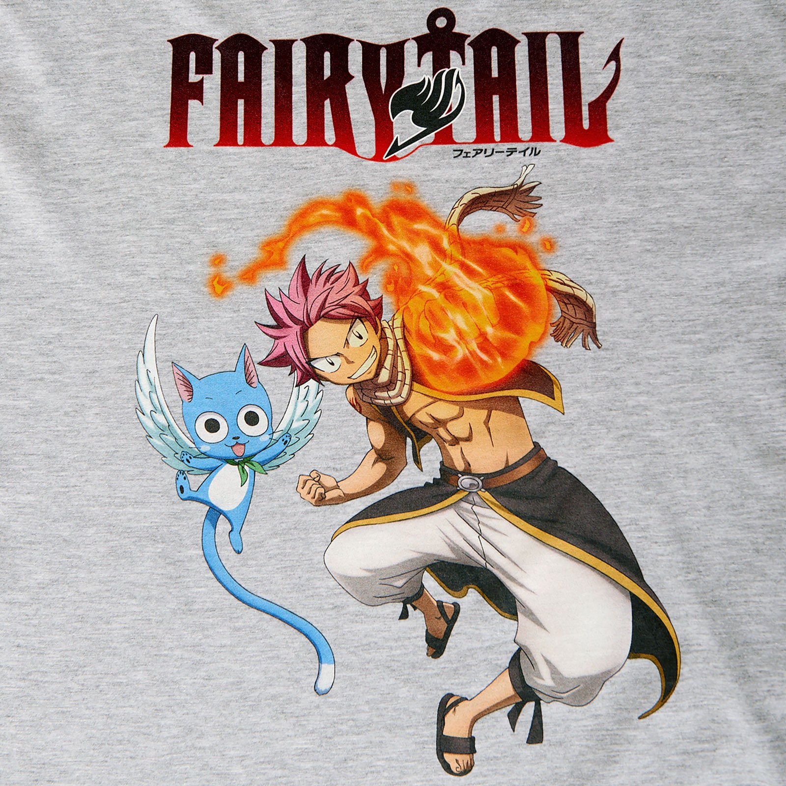 Product image Fairy Tail - Natsu and Happy T-Shirt grey