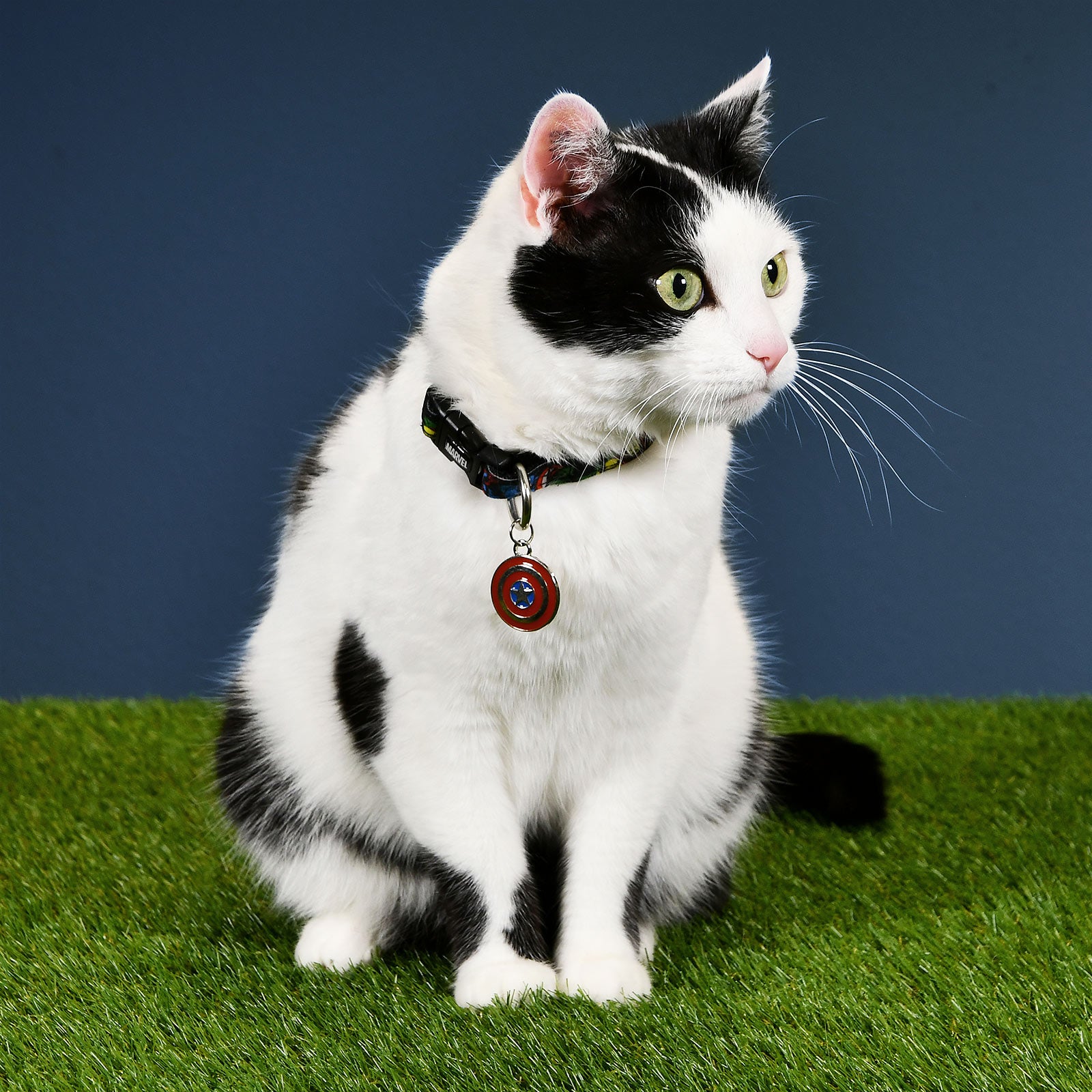 Product image Avengers - Comic Heroes Click-Collar for Dogs