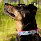 Product image Supergirl Click-Collar for Dogs pink-blue