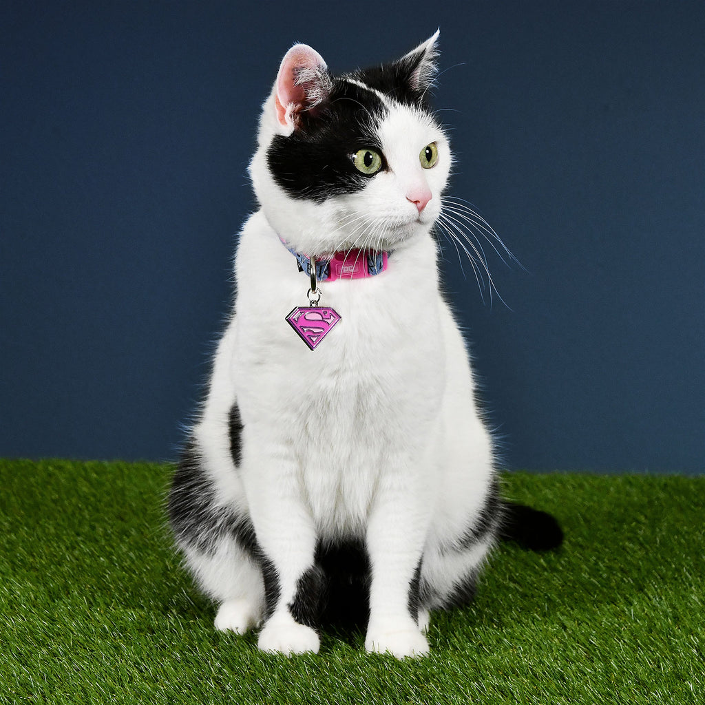 Product image Supergirl Click-Collar for Dogs pink-blue