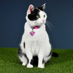 Product image Supergirl Click-Collar for Dogs pink-blue