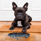 Product image Batman Dog Leash Blue