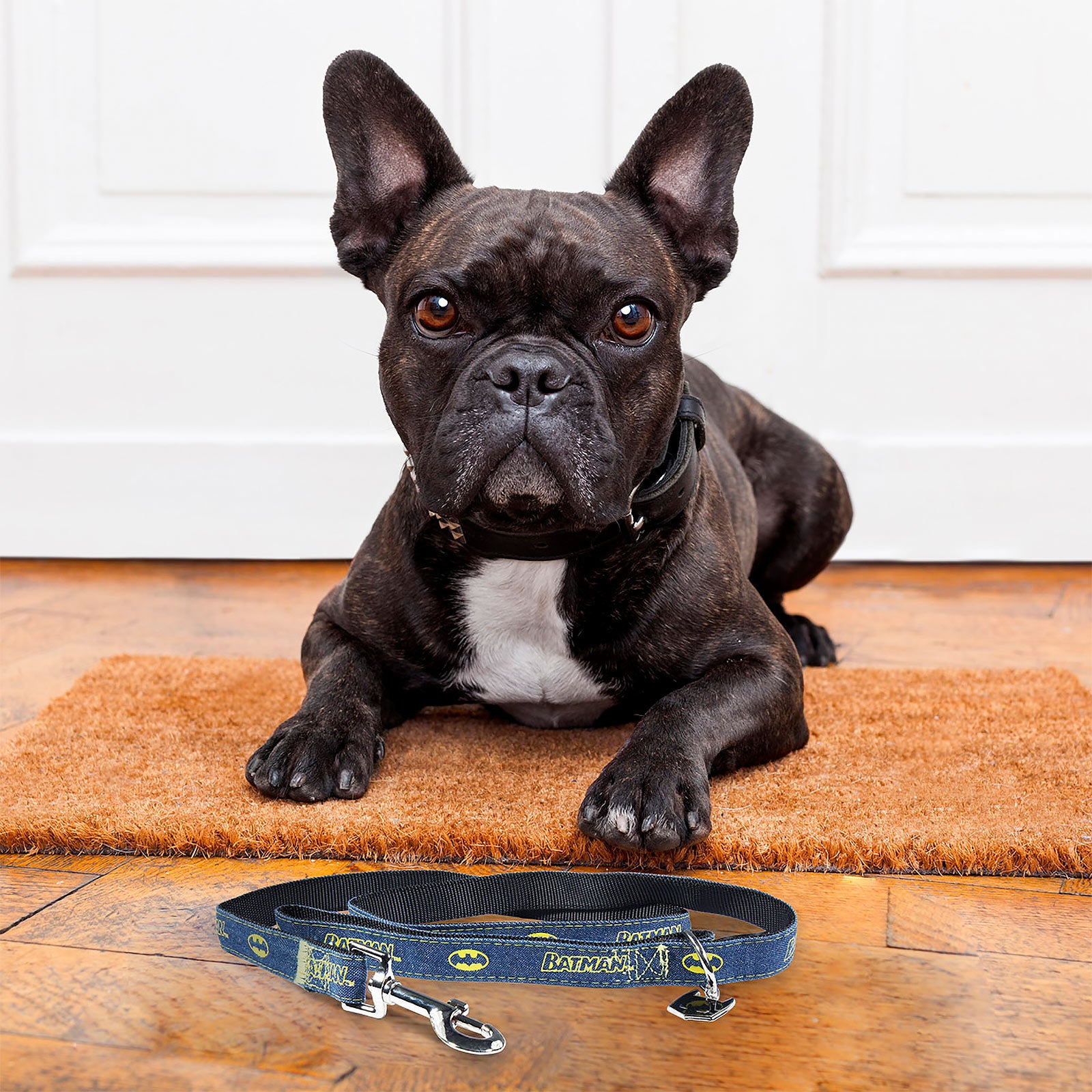 Product image Batman Dog Leash Blue