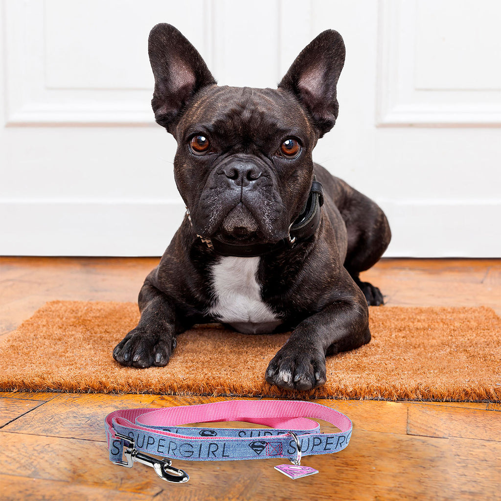 Product image Supergirl dog leash pink-blue