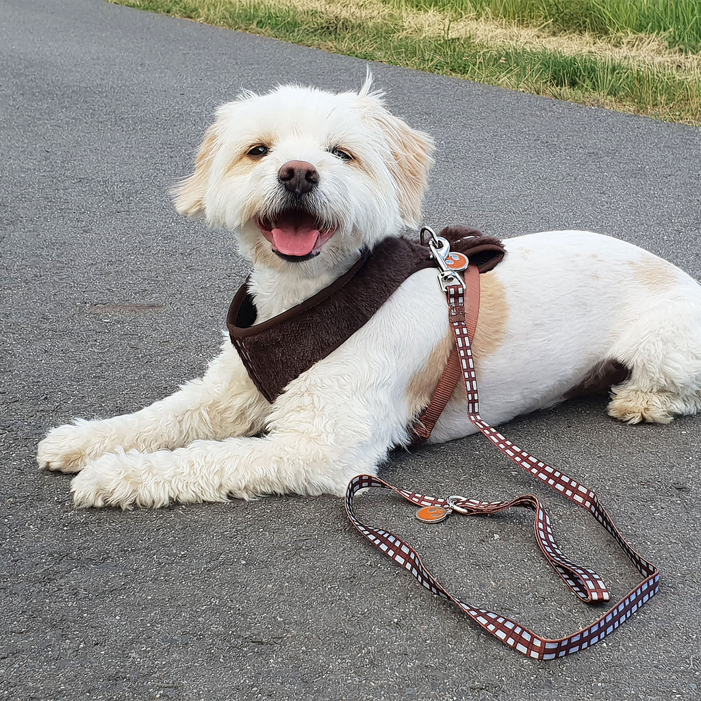 Product image Star Wars - Chewbacca Dog Harness Brown