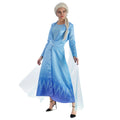Product image Elsa Ice Queen Costume Dress for Frozen Fans