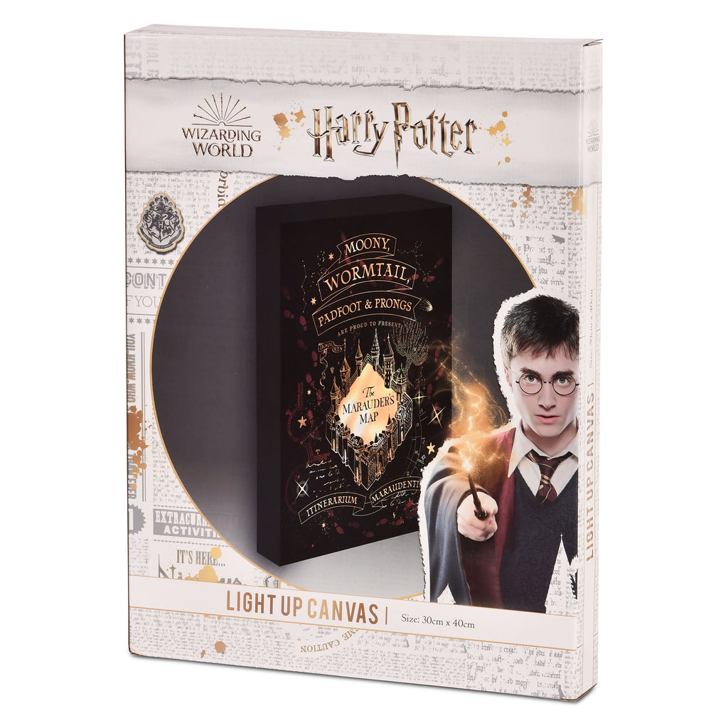 Product image Harry Potter - Marauder's Map Wall Picture with Light