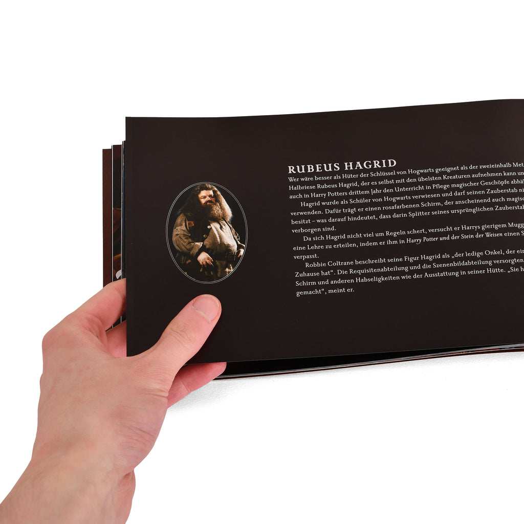 Product image Harry Potter - The Book of Wands Gift Set