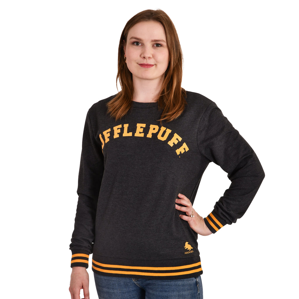 Product image Harry Potter - Hufflepuff College Sweater Grey