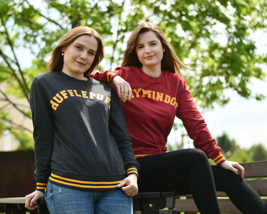 Product image Harry Potter - Hufflepuff College Sweater Grey