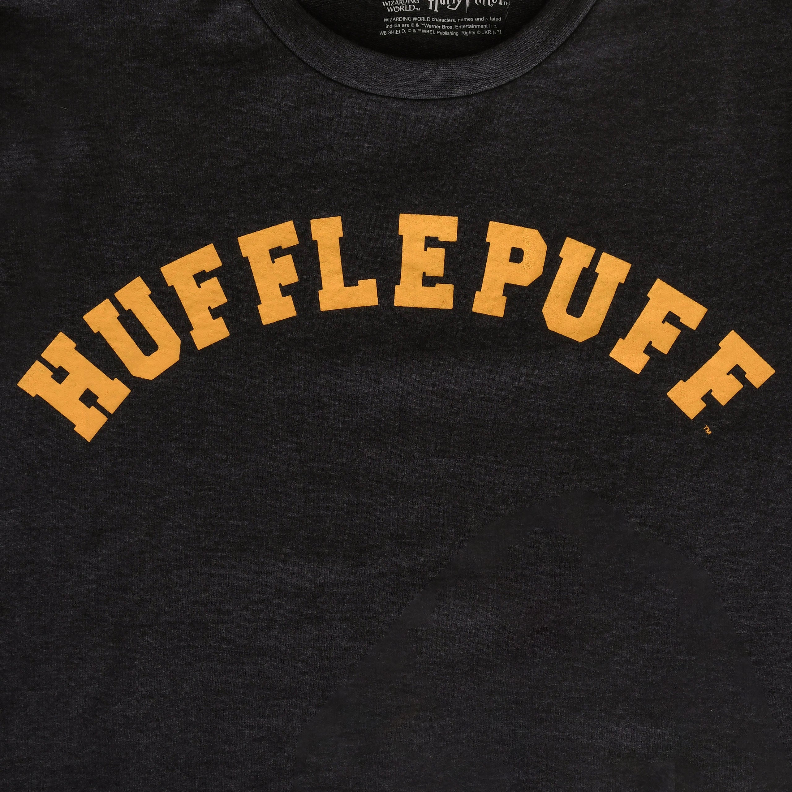 Product image Harry Potter - Hufflepuff College Sweater Grey