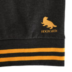 Product image Harry Potter - Hufflepuff College Sweater Grey