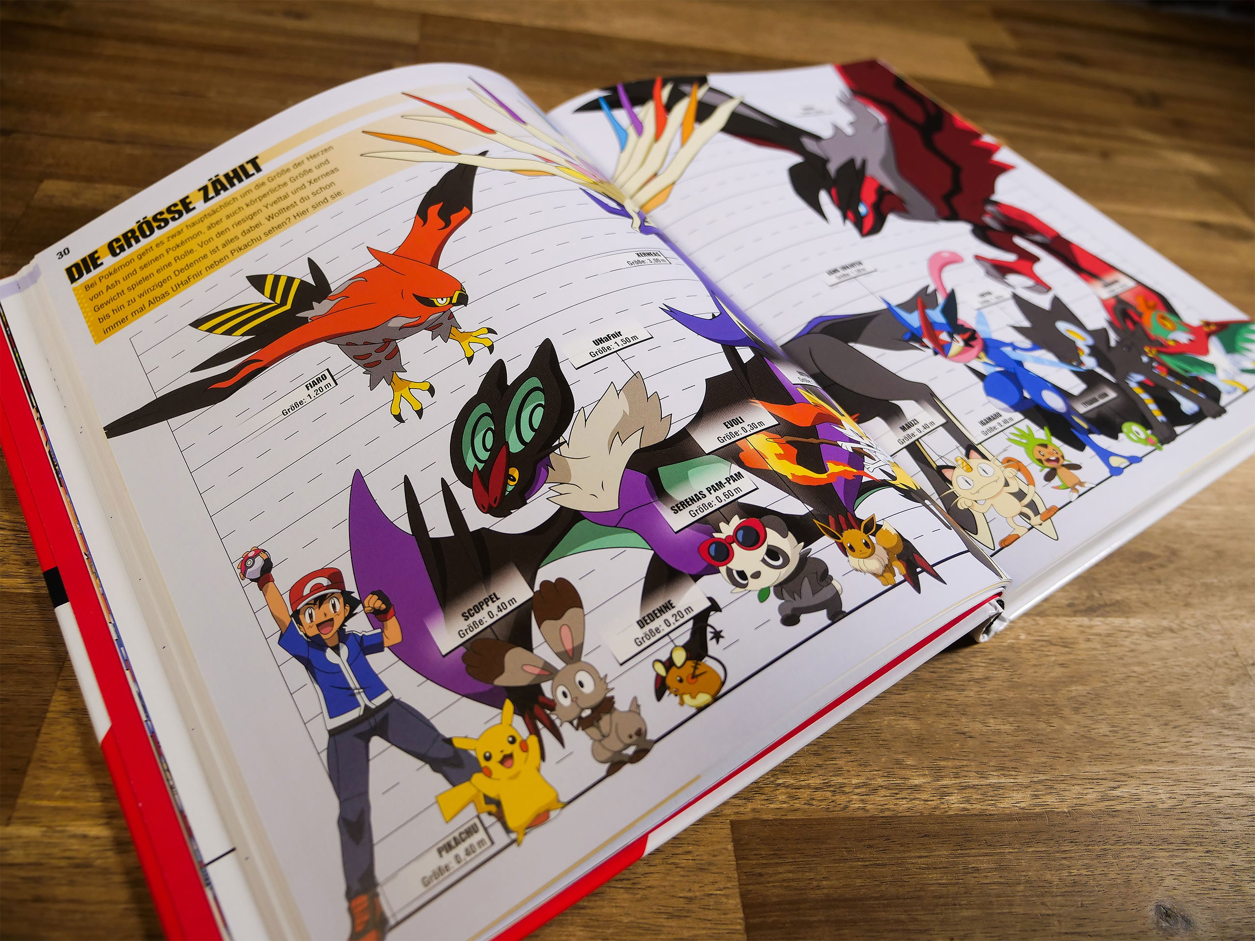 Product image Pokemon - The Big Lexicon
