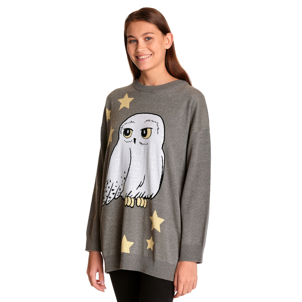 Product image Harry Potter - Hedwig Oversize Sweater gray