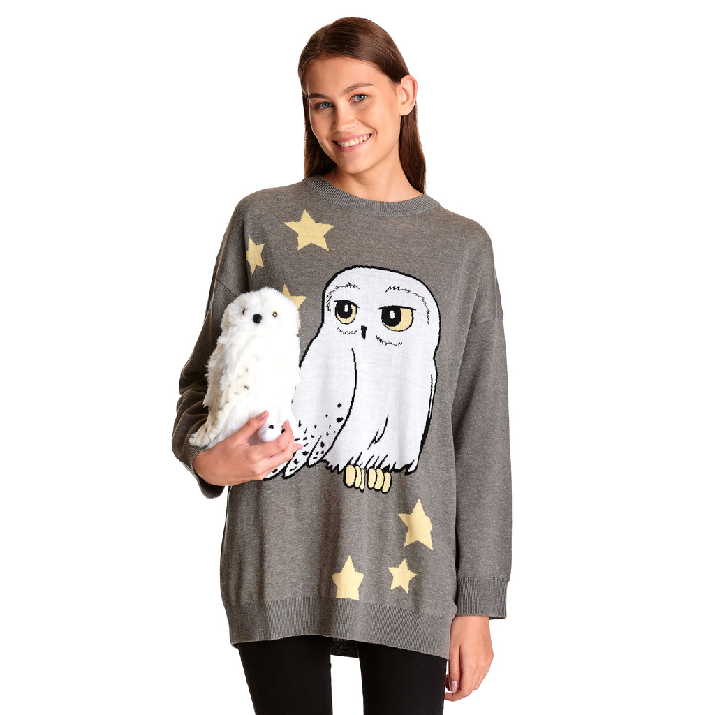 Product image Harry Potter - Hedwig Oversize Sweater gray