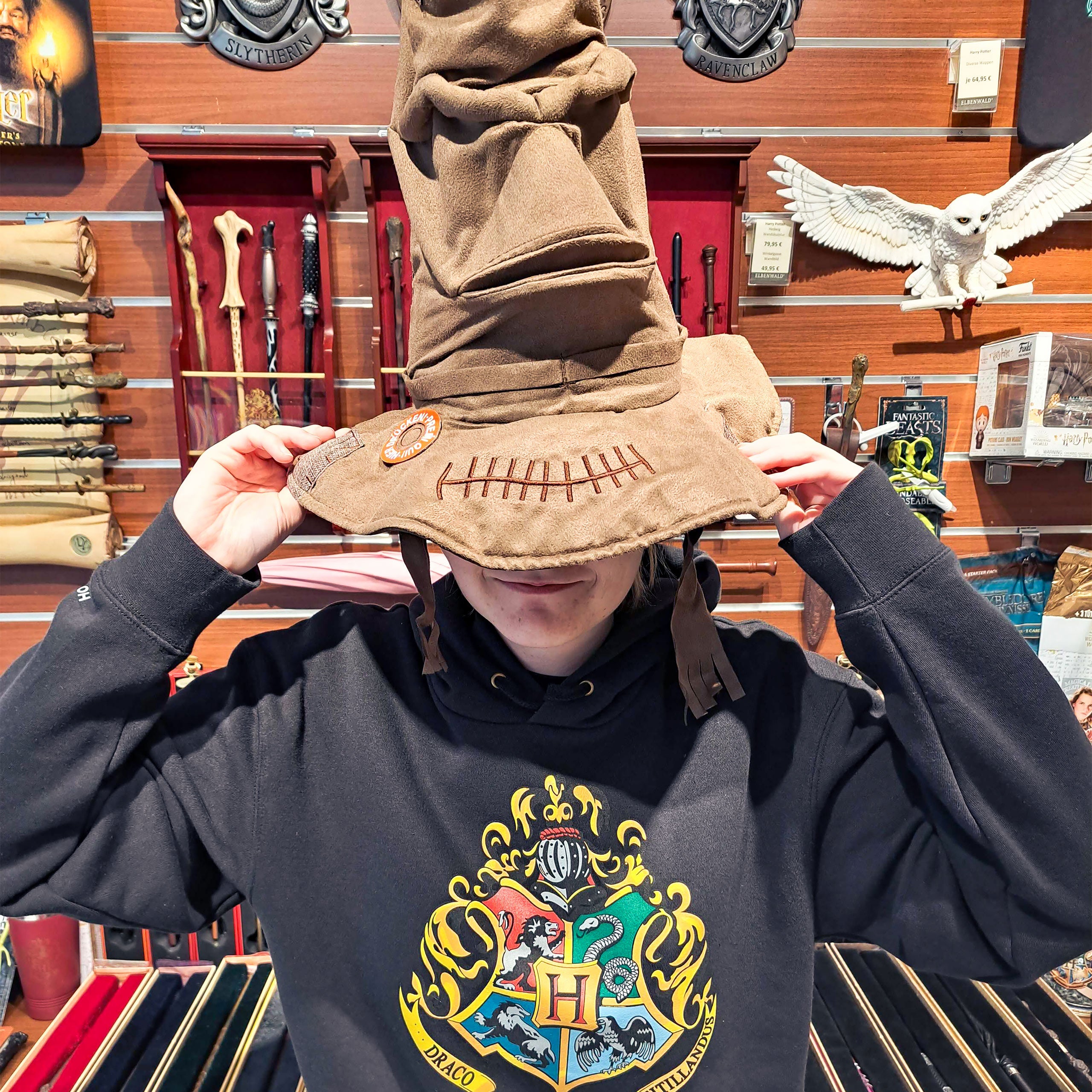 Product image Harry Potter - Talking Hat with Sound and Movement