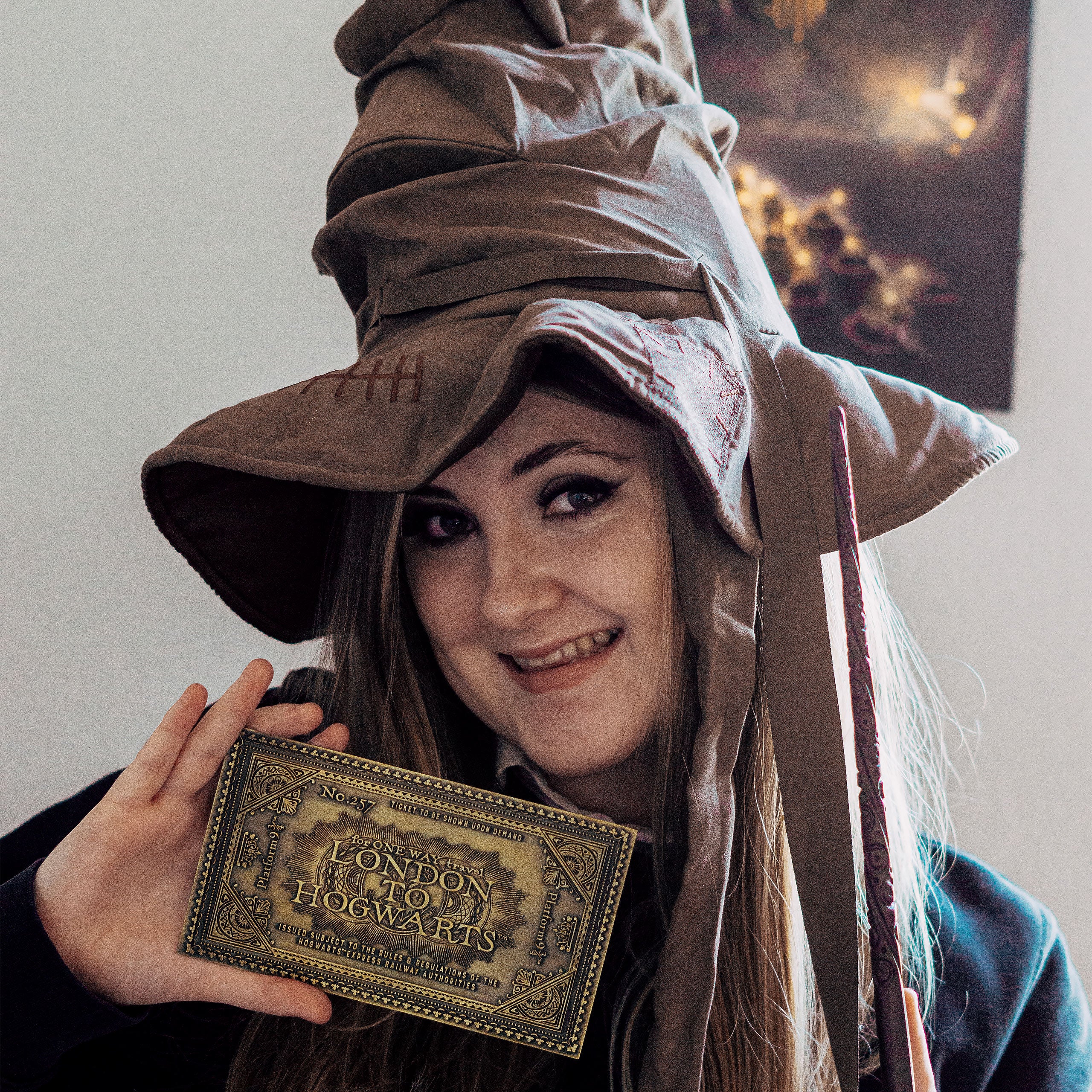 Product image Harry Potter - Talking Hat with Sound and Movement