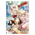 Product image Dr. Stone - Volume 13 Paperback