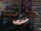 Product image Game of Thrones - Drogon Figure