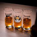 Product image One Piece - Wanted Luffy and Zoro Glass Set