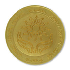 Product image Dungeons & Dragons - Amulet of Health Medallion
