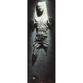 Product image Star Wars - Han Solo in Carbonite Door Poster