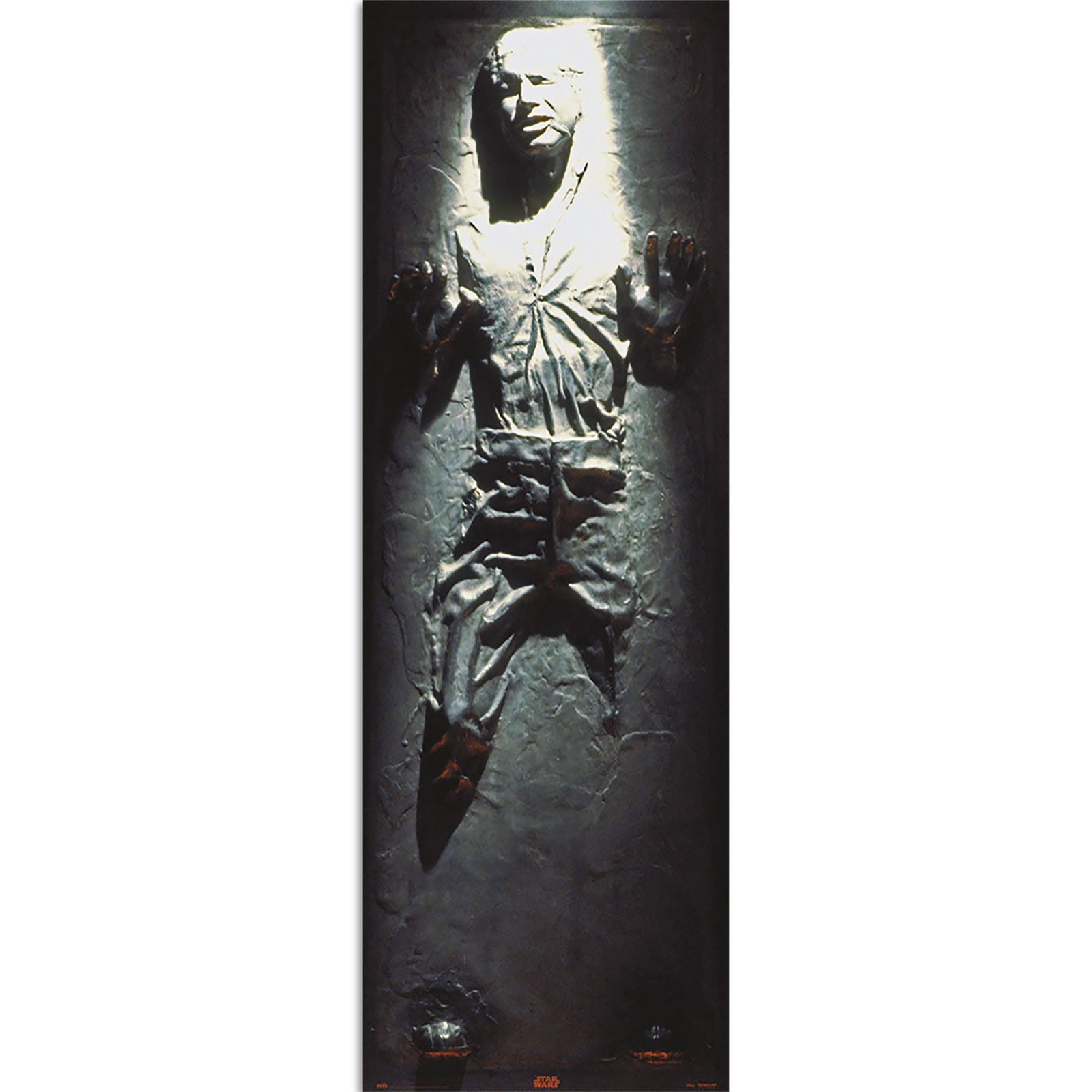 Product image Star Wars - Han Solo in Carbonite Door Poster