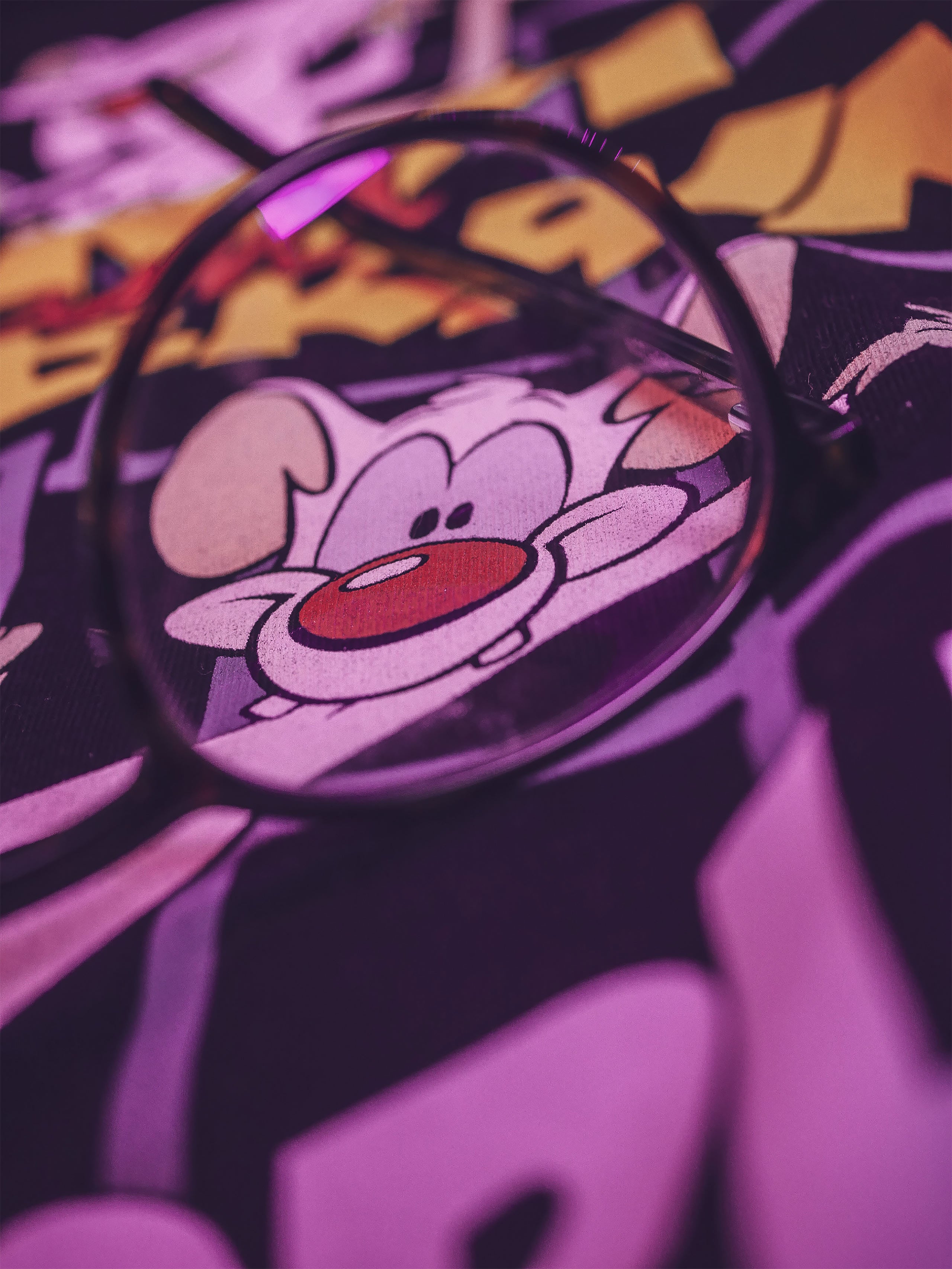Product image Pinky and the Brain - Take Over The World T-Shirt
