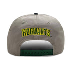 Product image Harry Potter - Slytherin Terry Logo Snapback Cap