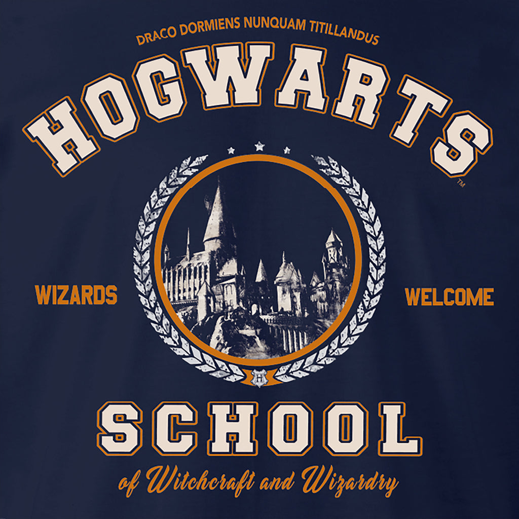 Product image Harry Potter - Hogwarts School T-Shirt blue