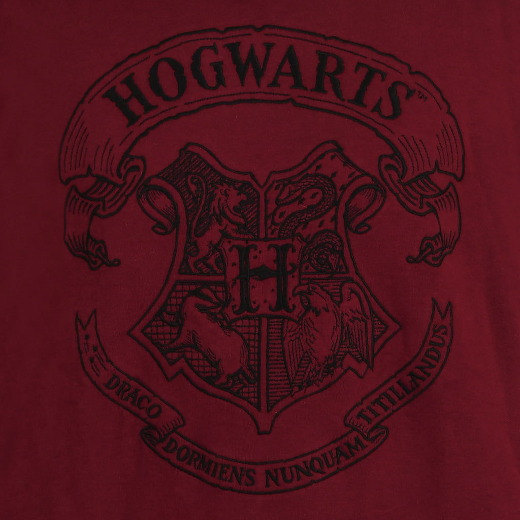 Product image Harry Potter - Hogwarts Logo Hoodie red