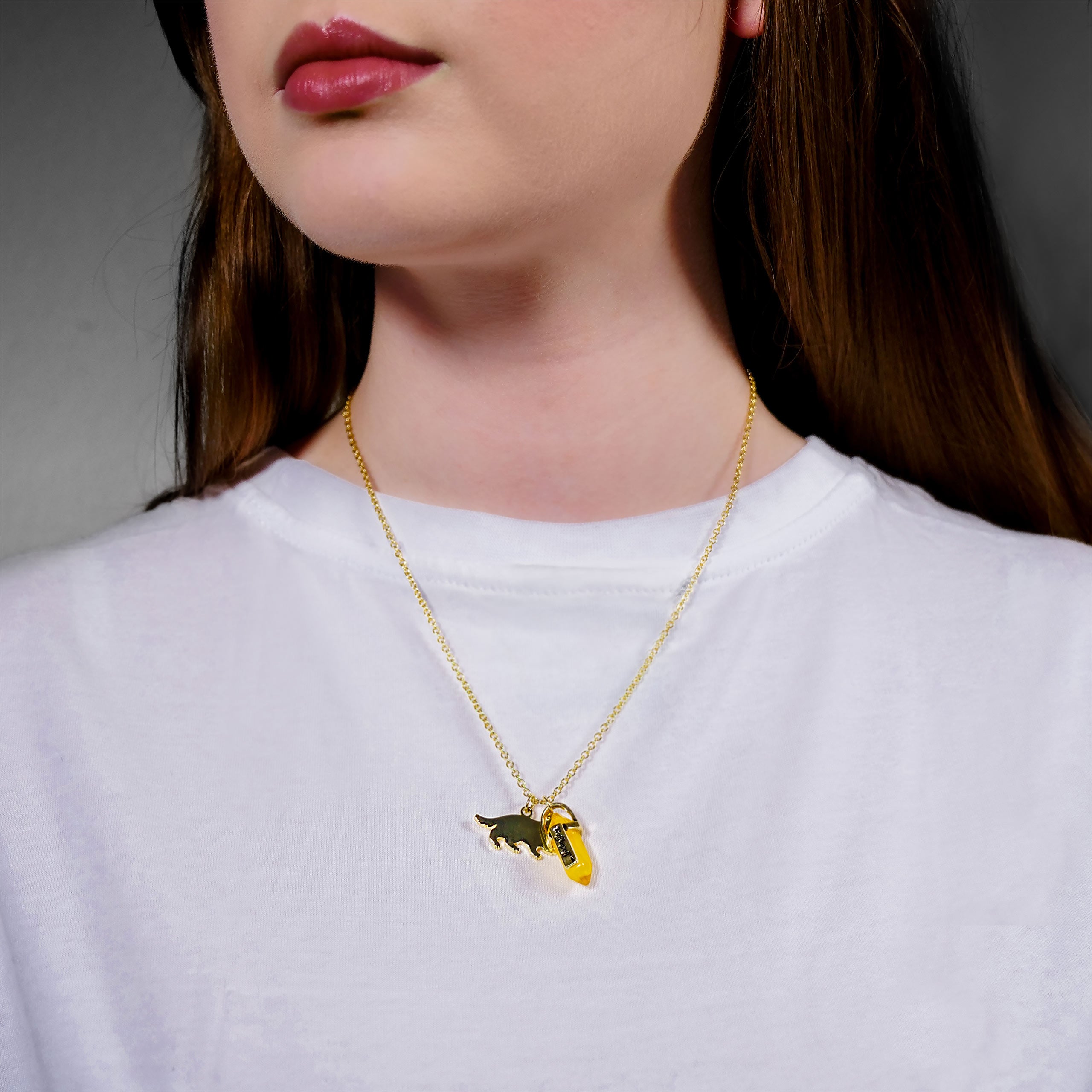 Product image Harry Potter - Hufflepuff Crest Necklace