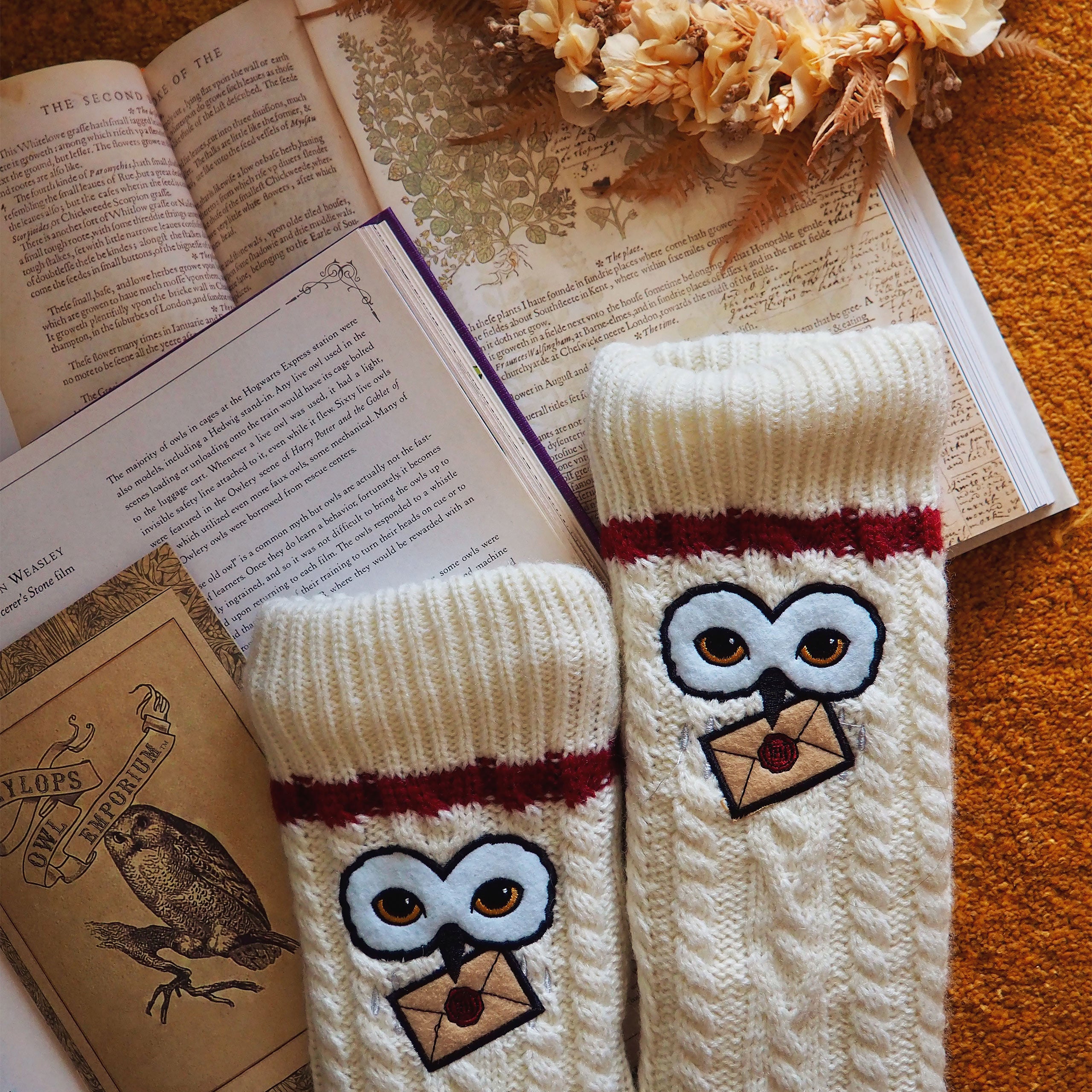 Product image Harry Potter - Hedwig Socks with Teddy Fur