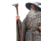 Product image The Lord of the Rings - Gandalf the Grey Figure