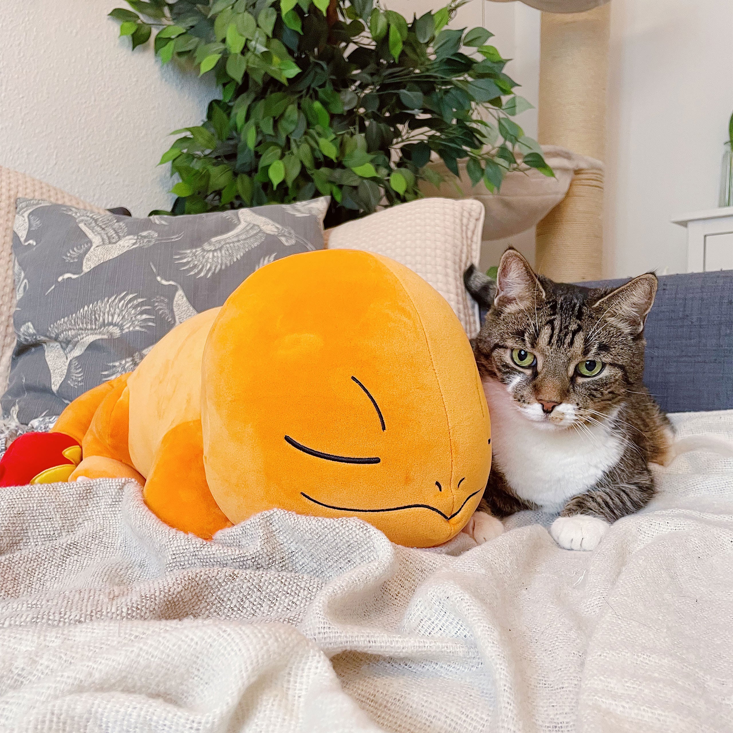Product image Pokemon - Sleeping Charmander Plush Figure