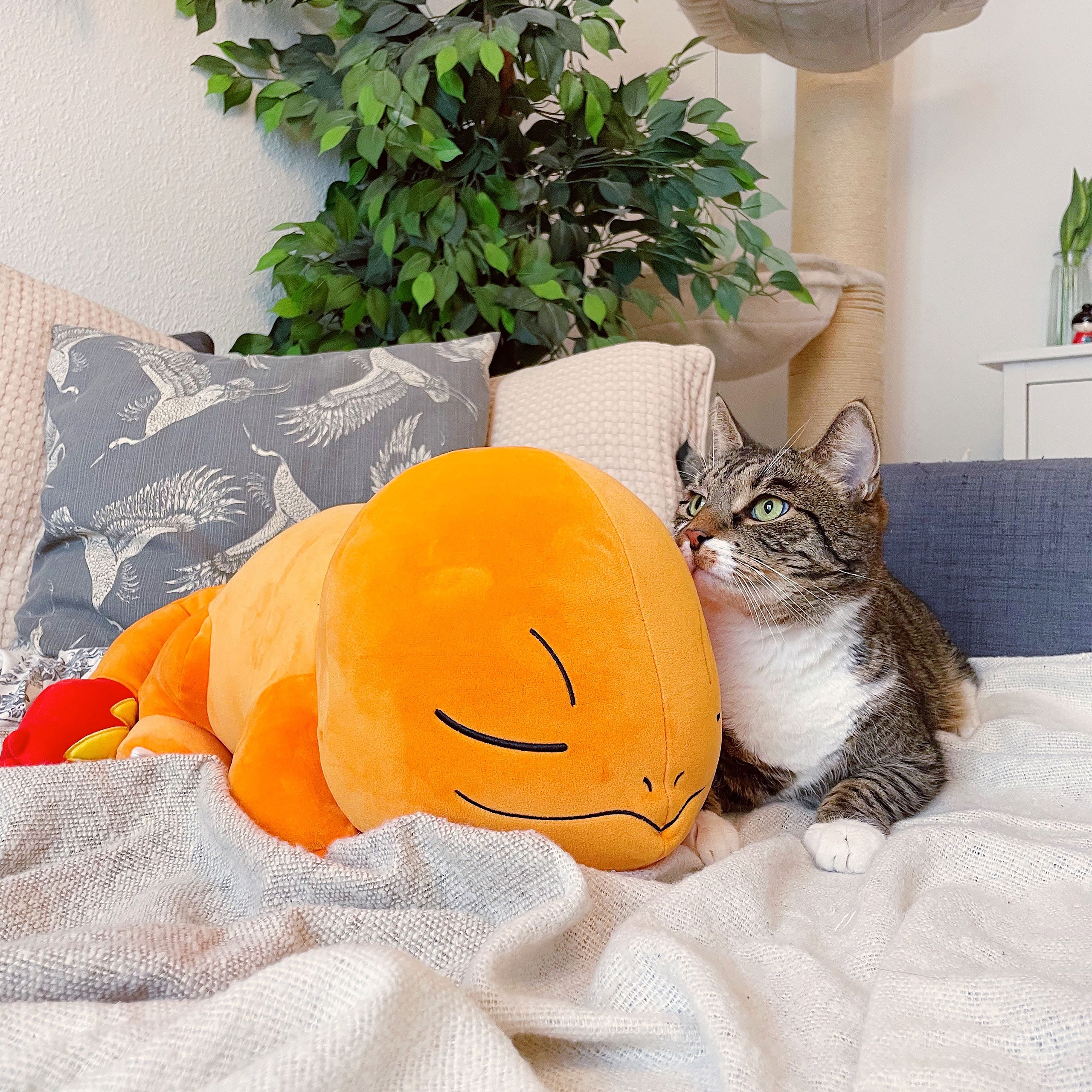 Product image Pokemon - Sleeping Charmander Plush Figure