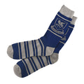 Product image Harry Potter - Ravenclaw Crest Socks
