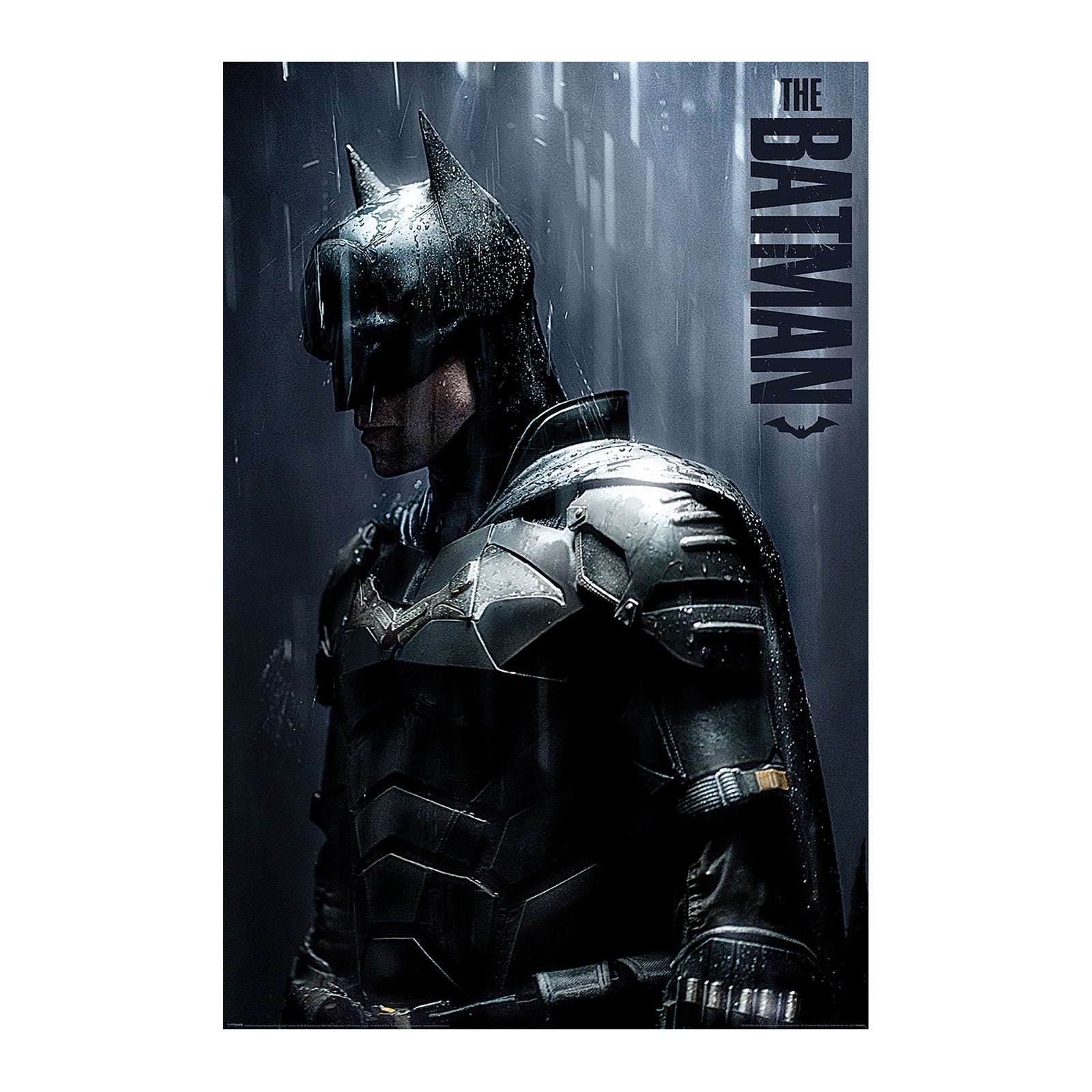 Product image The Batman - Downpour Maxi Poster