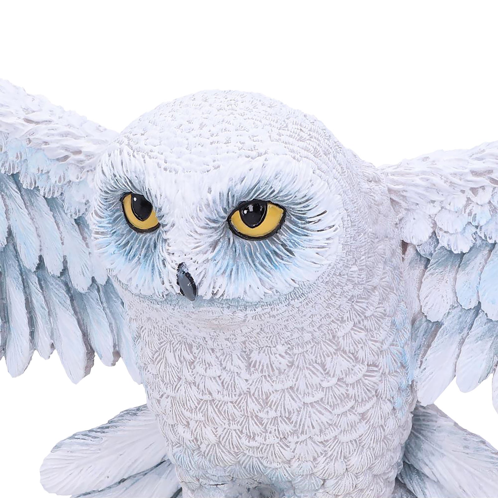 Product image Hedwig Wall Sculpture - Harry Potter