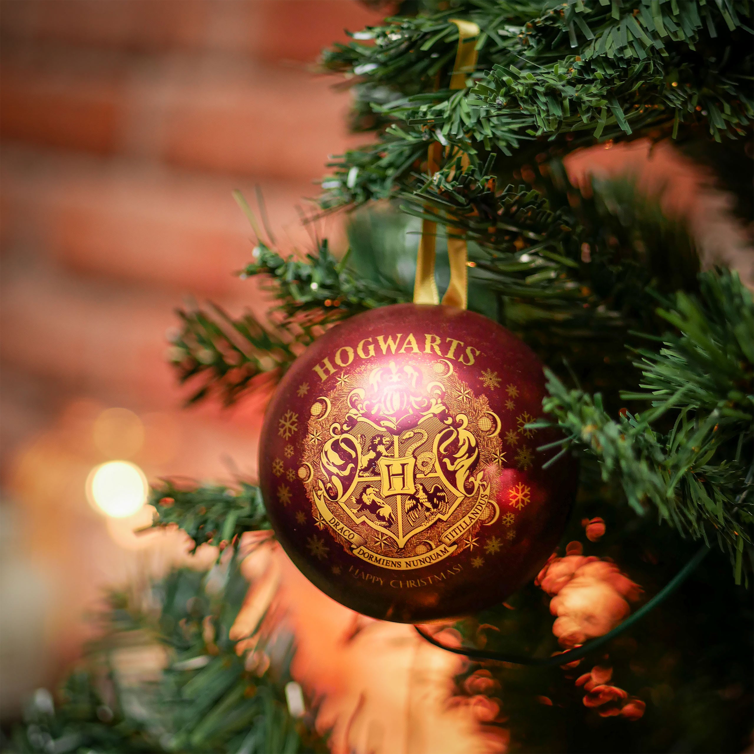 Product image Harry Potter - Hogwarts Christmas Bauble with Necklace