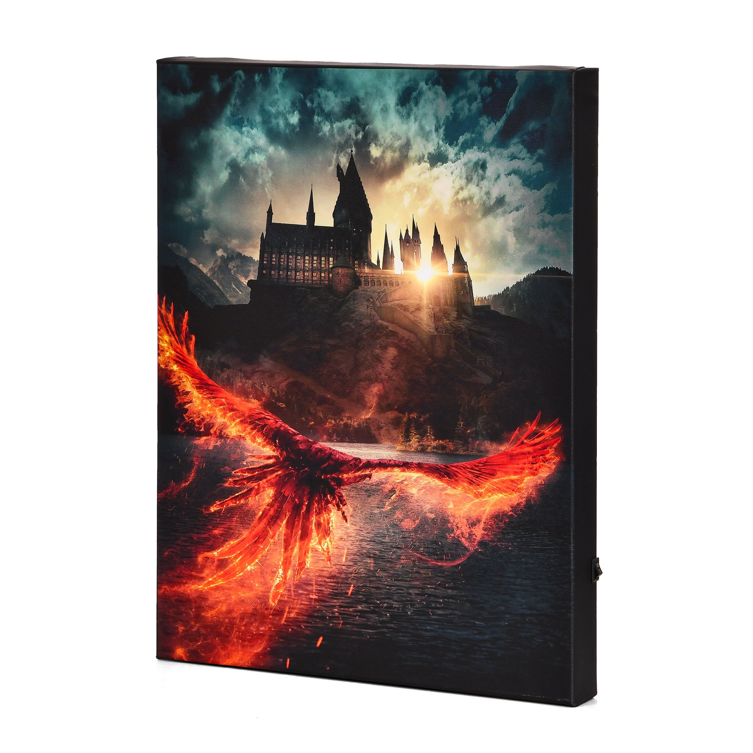 Product image Dumbledore's Secrets Wall Art with Light - Harry Potter