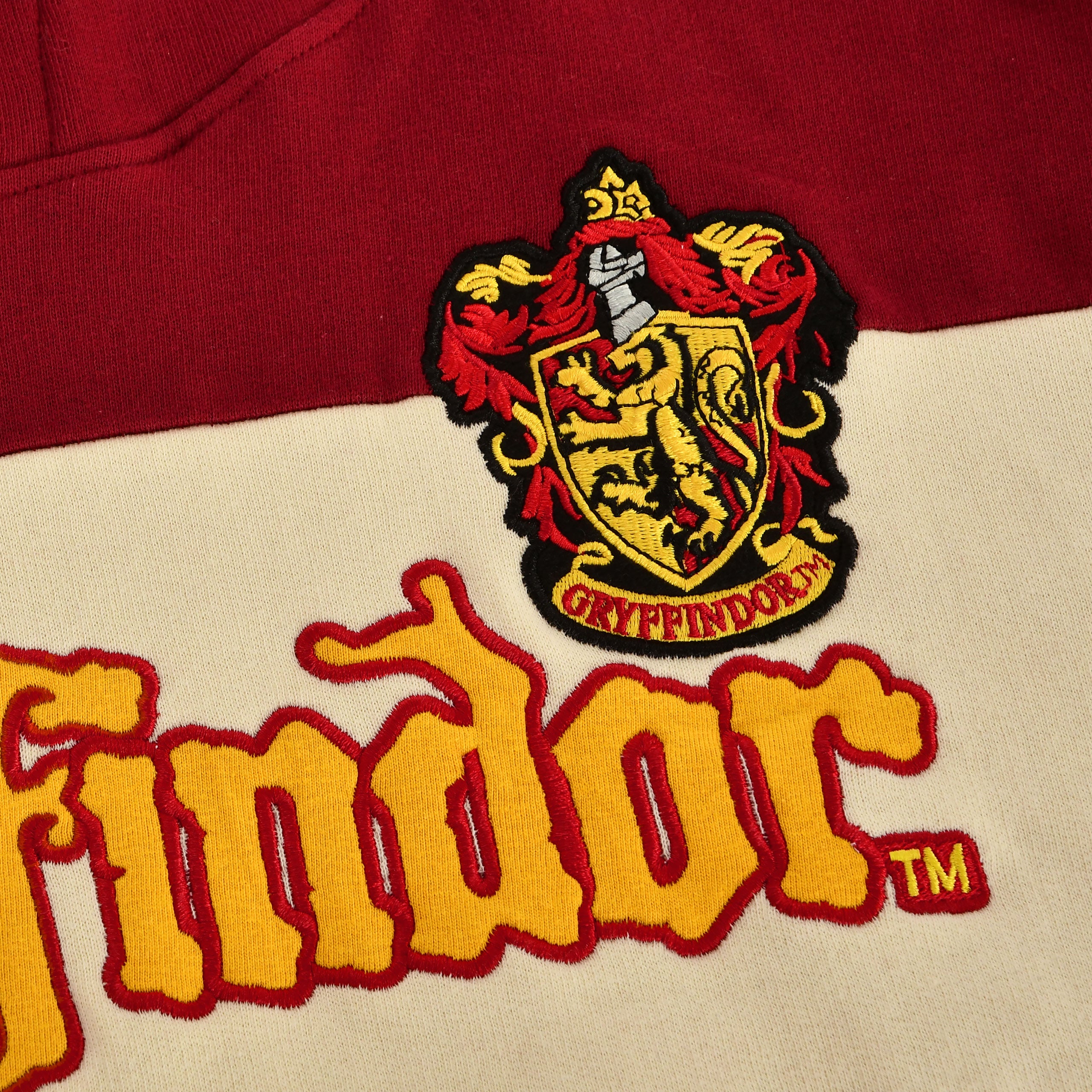 Product image Harry Potter - Team Gryffindor Block Hoodie