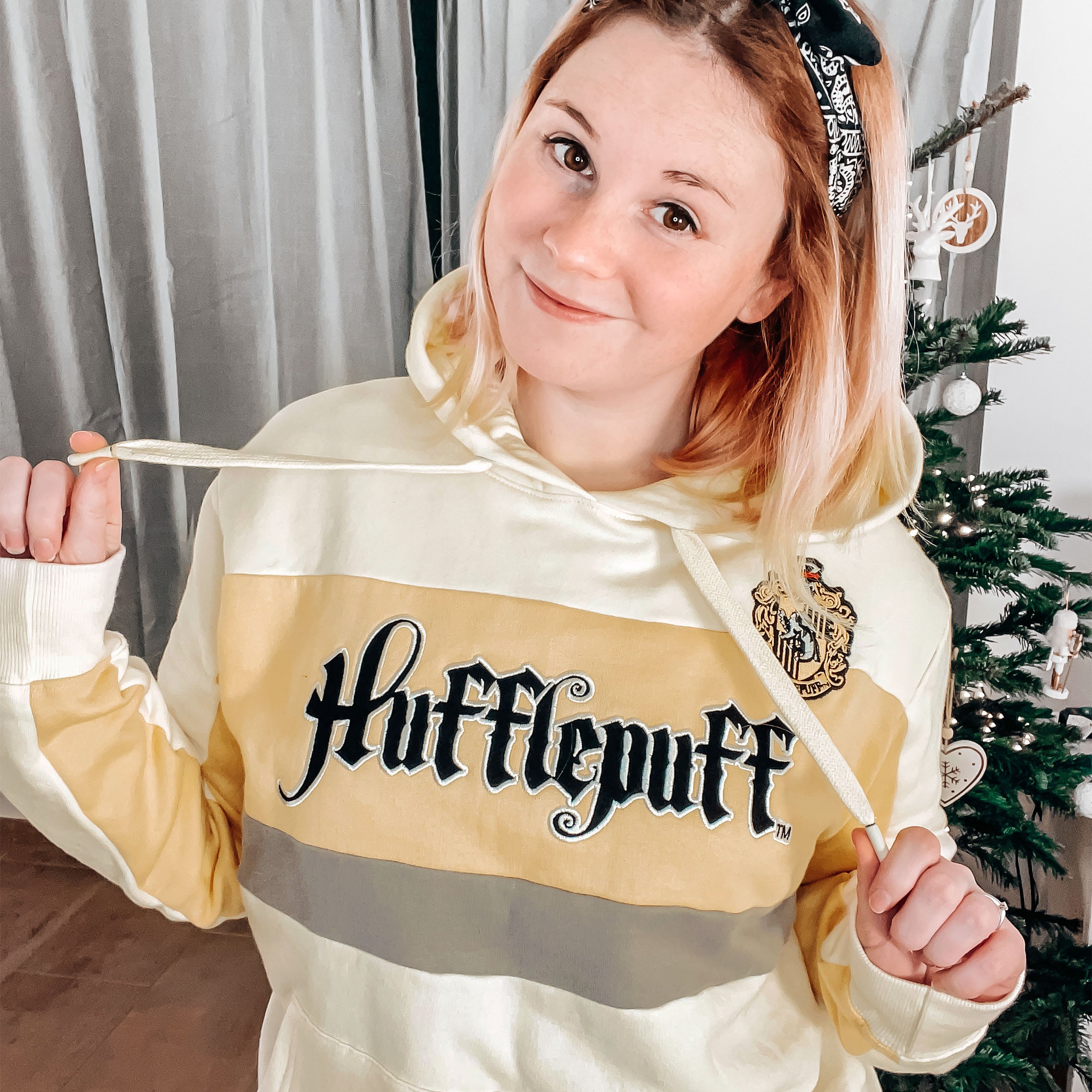 Product image Harry Potter - Team Hufflepuff Block Hoodie