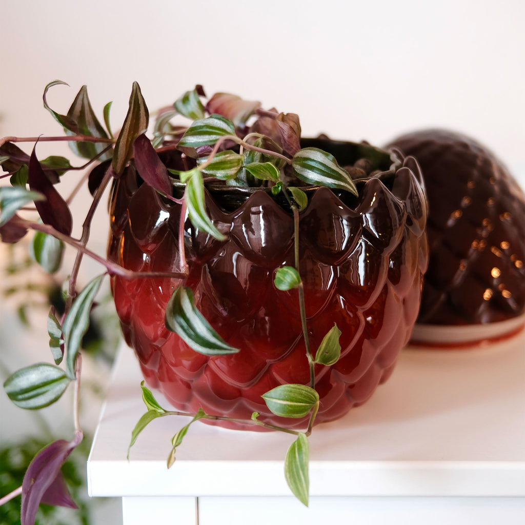 Product image Game of Thrones - Dragon Egg Cookie Jar