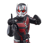 Product image Ant-Man and the Wasp - Quantumania Action Figure