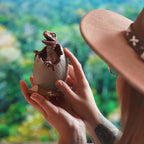 Product image Jurassic Park - Baby Velociraptor Egg Diorama Figure