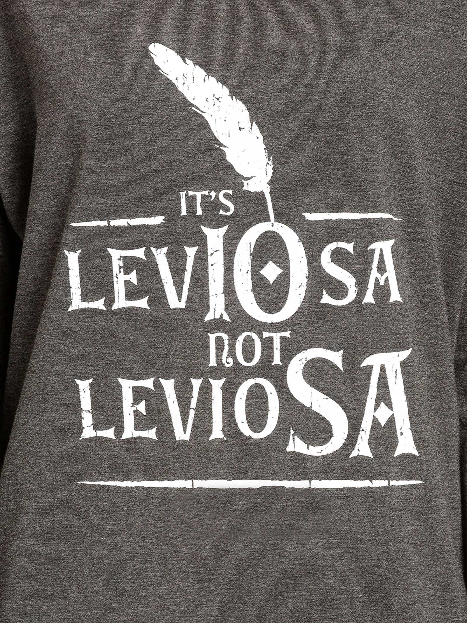 Product image Harry Potter - Leviosa Longsleeve Women's Grey