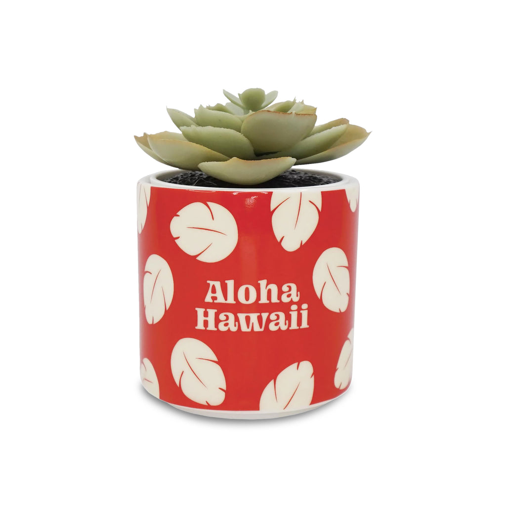 Product image Lilo & Stitch - Aloha Hawaii Mini Flower Pot